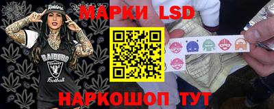 дмт Будённовск