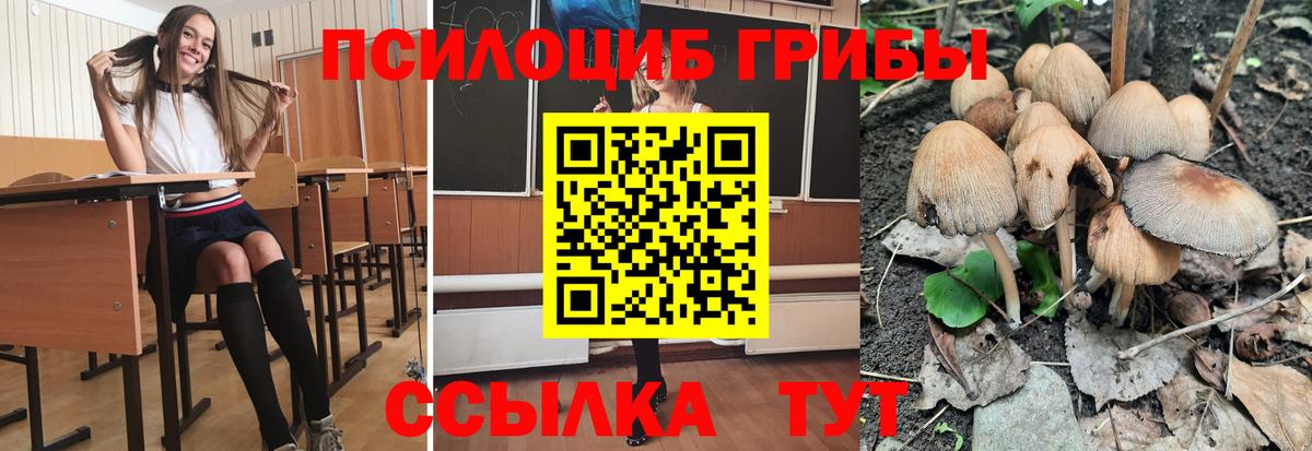 Галлюциногенные грибы мухоморы Родники